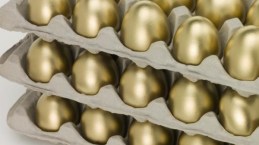 Superannuation nest egg