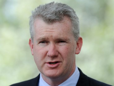 Opposition immigration spokesman Tony Burke