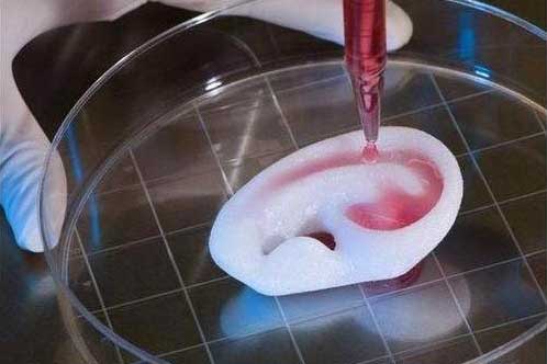 Bioprinting-02