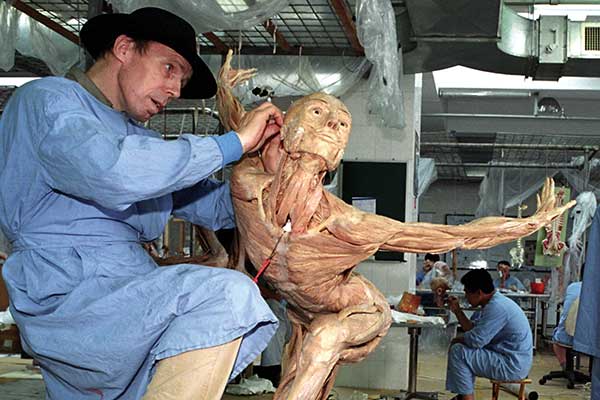 Plastination---Kneeling-Lady-with-Gunther-von-Hagens