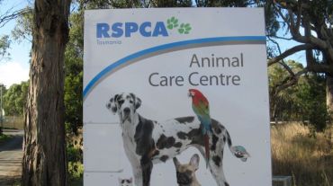 Last year a parliamentary committee described the RSCPA's management processes as dysfunctional.