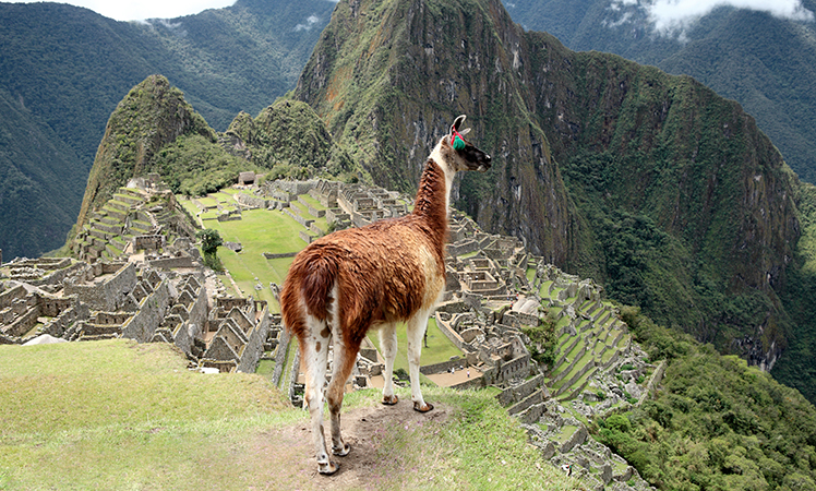 Machu Picchu.