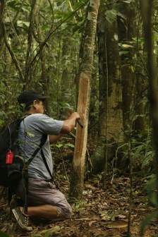 Alejandro shaves some medicinal tree bark. 