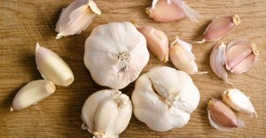 Garlic