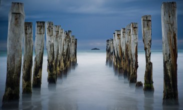 Dunedin backs onto the Otago Peninsula.