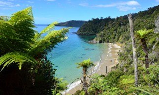 Just south of the South Island.