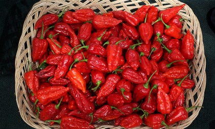 Tipping the Scoville heat scale.