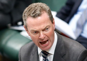Chris Pyne