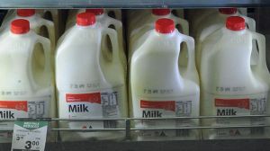 Various milk cartons in supermarket fridge