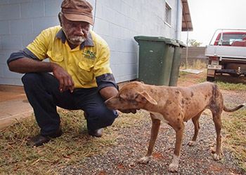 newdaily_030614_Ali-Curung