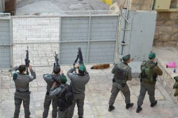Israeli Defence Forces to a weapons check in Hebron, in the West Bank. Source: Armando Cordoba