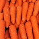 Carrots