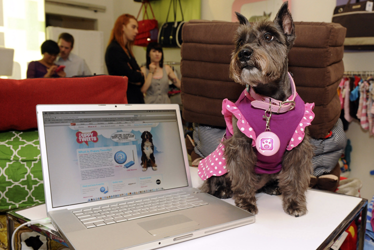 Our pets will be web savvy. Source: AAP.