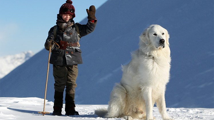 Belle and Sebastian. Photo: Supplied