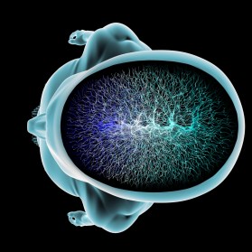 shutterstock_203171269