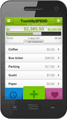 app-trackmyspend-anim
