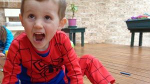 Three-year-old William Tyrell was last seen wearing a Spider-Man costume and playing in the front yard of a relative's home at Kendall, south of Port Macquarie.