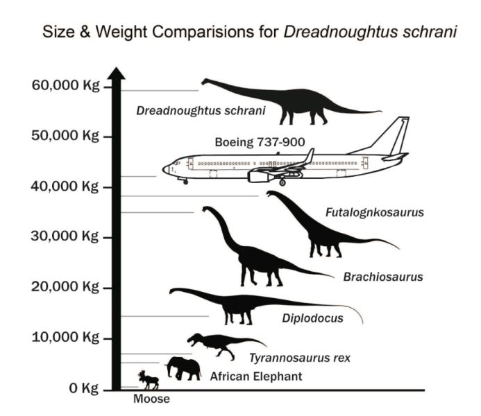 dreadnoughtus
