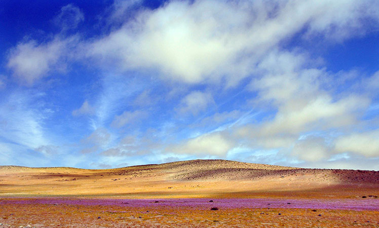 Atacama-Desert,-Chile