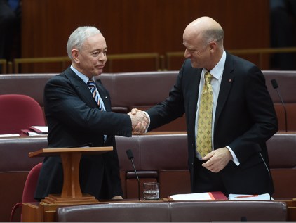 SENATE MAIDEN SPEECH