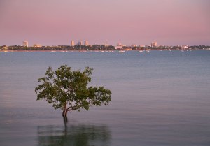 A three-bedroom home can be rented for $670 in Fannie Bay.