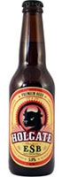 Holgate-ESB