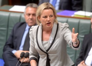 Sussan Ley