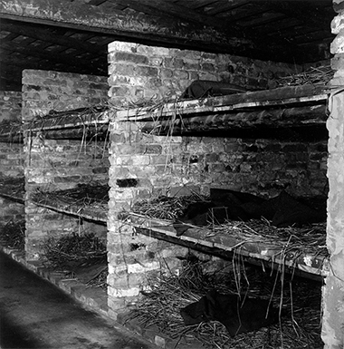 The beds at Auschwitz.