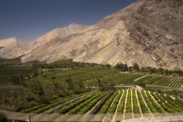Elqui Valley, Chile