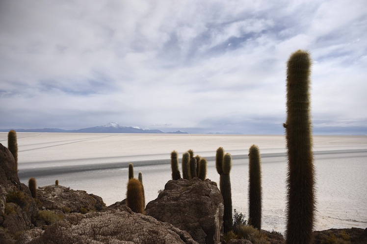 AUTO-MOTO-RALLY-DAKAR