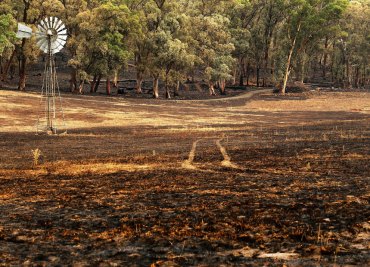 A burnt paddock in Humbug Scrub in the Adelaide Hills.