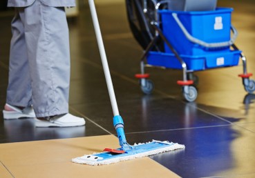 Cleaner with mop