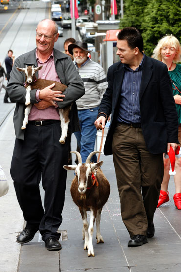 Walking a goat with Tim Costello in central Melbourne to promote a 'Presents Not Pokies' campaign in 2008. Photo: AAP