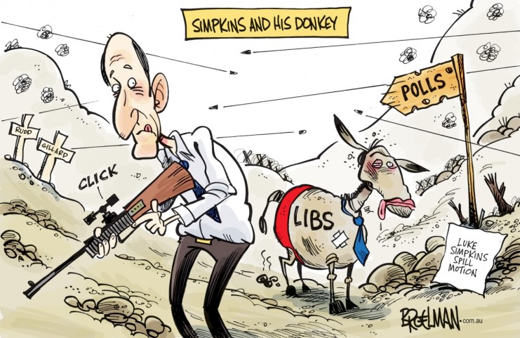 Broelman-060215-newdaily