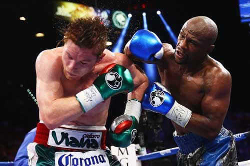 Mayweather's fight with Saul Alvarez grossed $150 million. Like most of his fights, it wasn't close. Photo: Getty