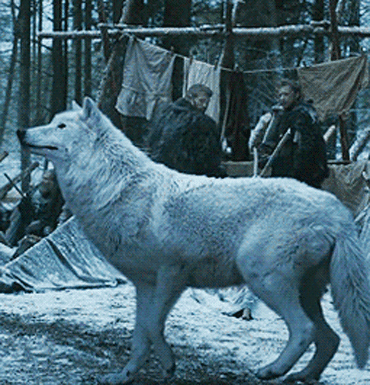 direwolf