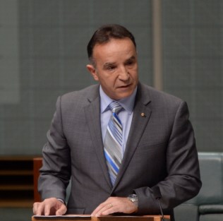 nikolic-110215-newdaily