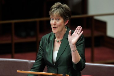 The Greens argued the funding still did not go far enough to address serious shortfalls in the sector.