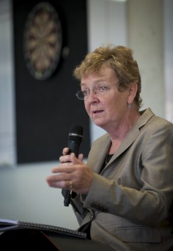 Ms McLucas says mental health services have no confidence about the future.