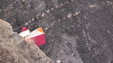 germanwings plane crash