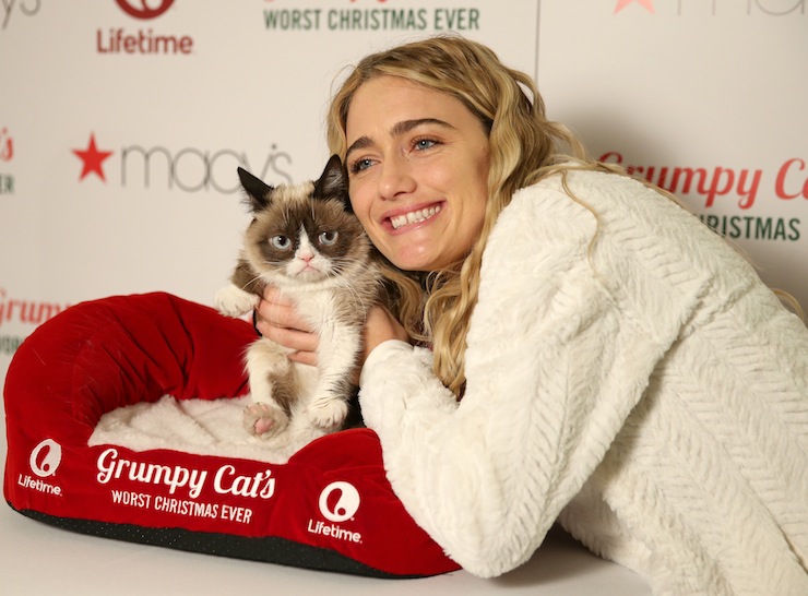 Lifetime's Grumpy Cat's Worst Christmas Ever