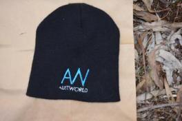 A police image of the beanie.