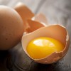 egg-yolk