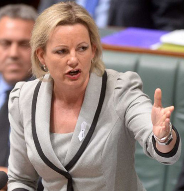sussan ley and ice