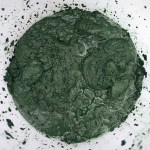 spirulina