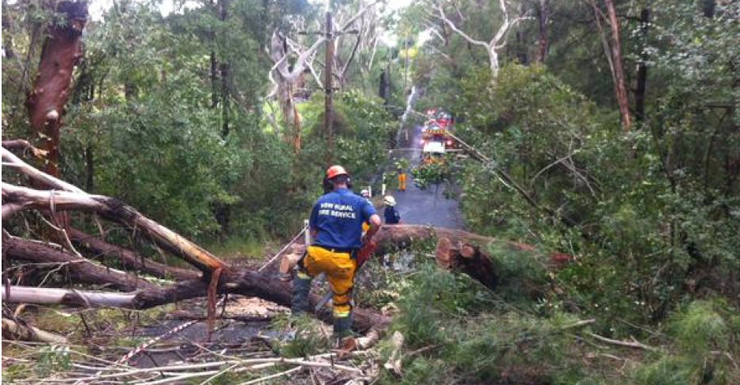 Close to 400 NSW Rural Fire Service volunteers are assisting with the storm damage clean up.