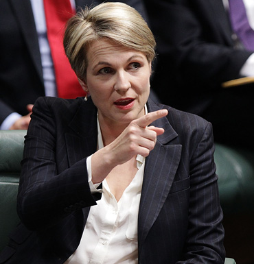 Tanya Plibersek is calling for unified laws across the nation.
