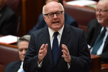 Mr Brandis said the radicalised are 'crazy and a threat to our civilisation'.