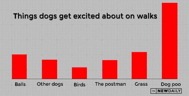 Graph_dog_walks