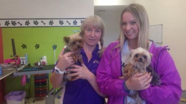 The incriminating photo of Johnny Depp's dogs in Queensland. Photo: ABC